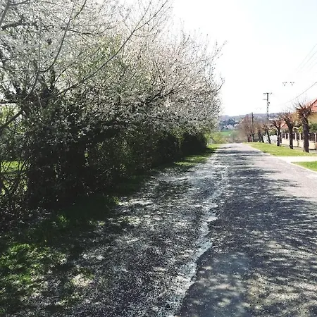 Park Apartman Apartment Heviz